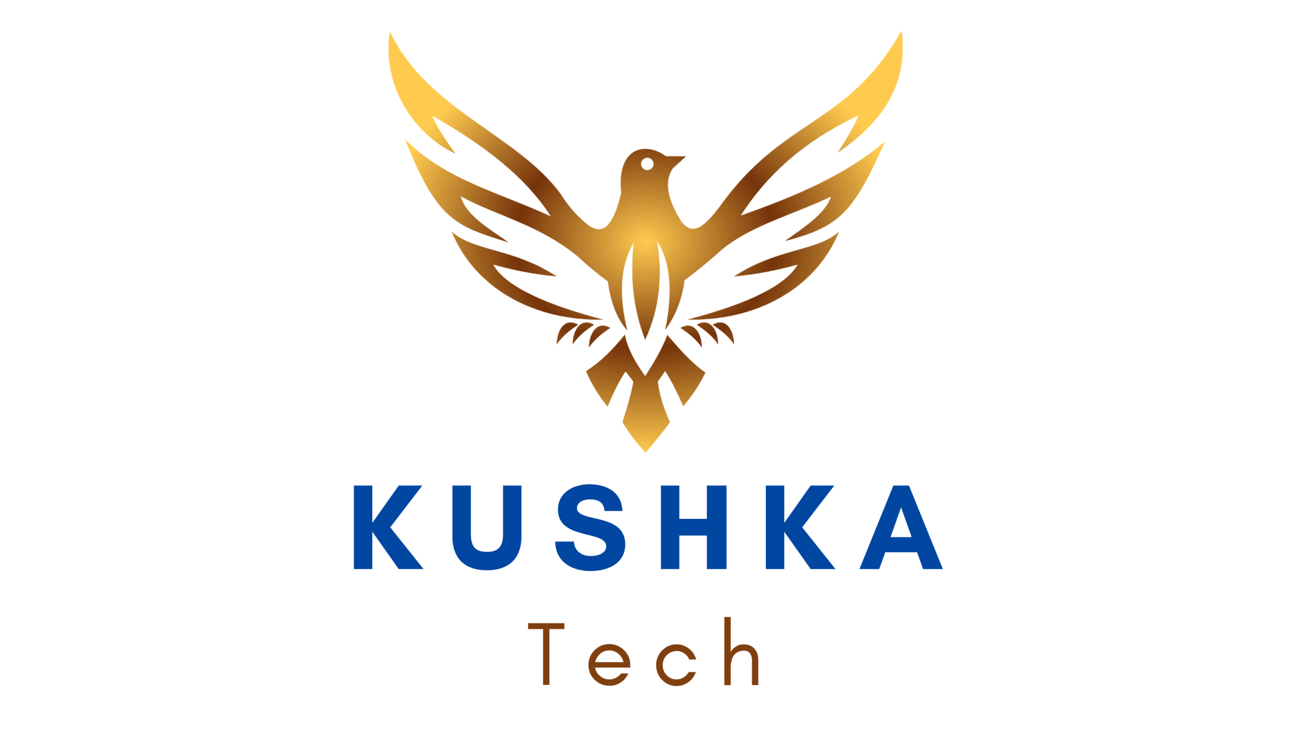 Kushka Tech